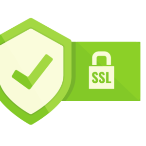 SSL Sertifikası Standart